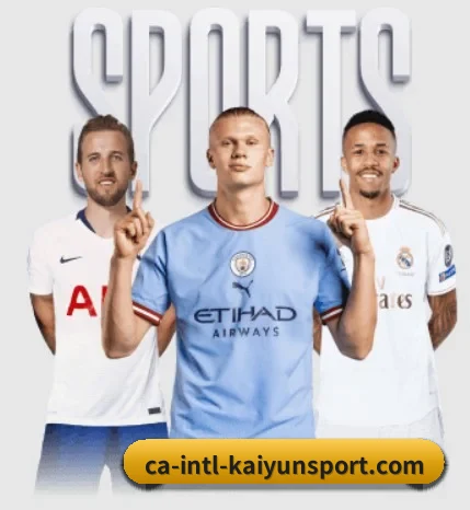 五大服务分区,信息按项目分类 - kaiyun